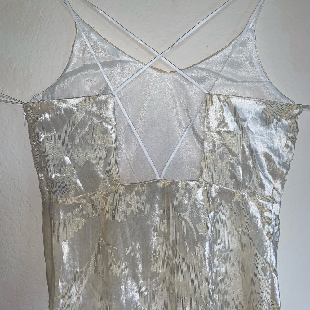 NWT Ivory velvet dress with gold detail